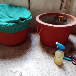 Kitchen Waste Composting Kit